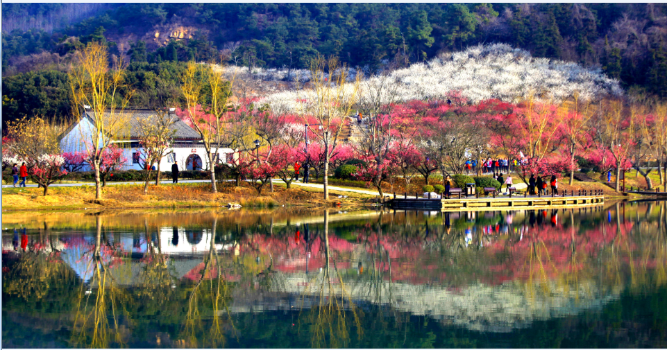 “迟日江山丽,春风花草香。”春光正好,赏花正当时,偶尔犯点“花痴”也是个不错的选择。长途也好,短途也罢,自驾、拼车、徒步,出行方式任君选择。携上家人或三两知己,带上美味的餐食,赴约赏花看景。 行走于无边花云之间,人犹如乘坐于轻舟之上,凌驾着东风,在云海里飘荡。